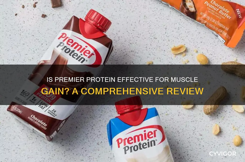 is premier protein good for muscle gain