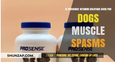 Exploring ProSense Vitsmin Solution for Canine Muscle Spasms Relief