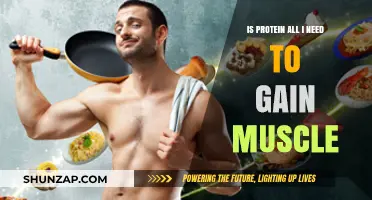 Protein Alone Won't Cut It: The Truth About Muscle Gain