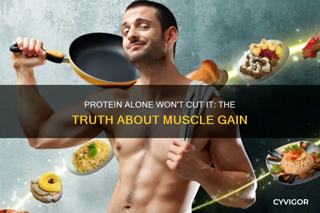 is protein all i need to gain muscle