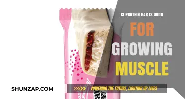 Fuel Your Gains: The Truth About Protein Bars and Muscle Growth