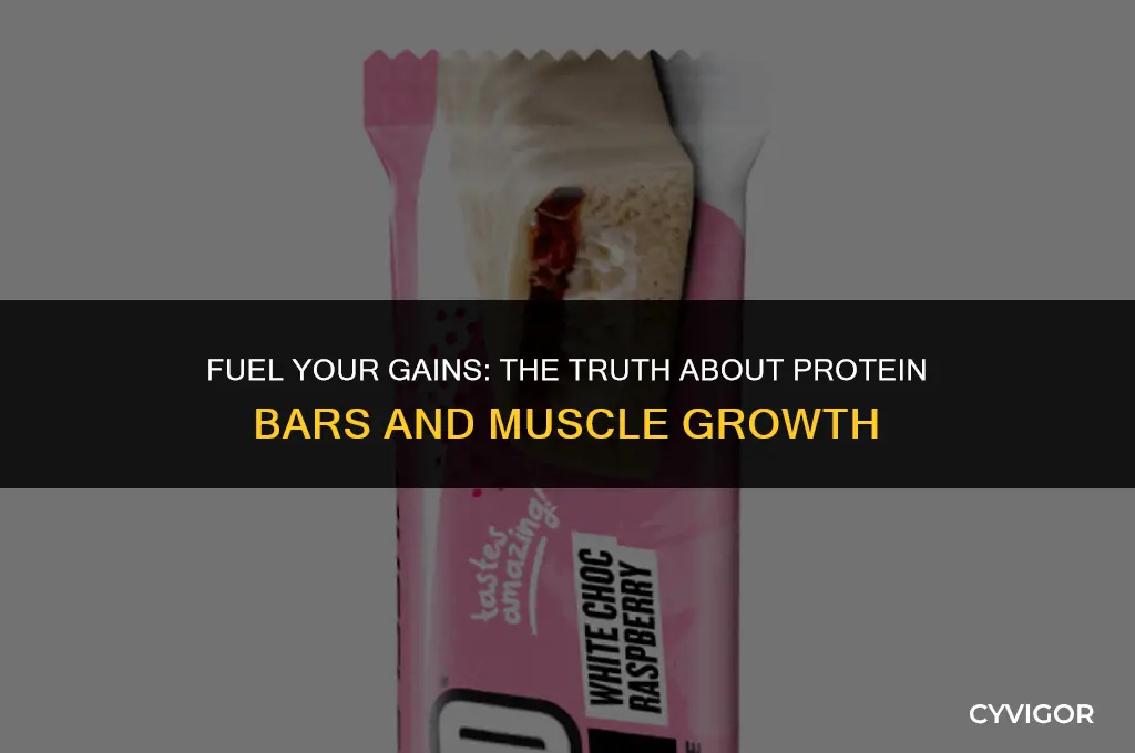 is protein bar is good for growing muscle