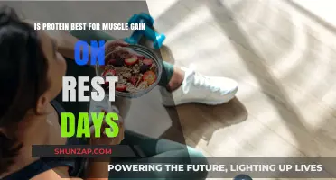 Protein on Rest Days: Essential for Muscle Growth or Overkill?