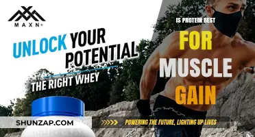 Protein Power: Unlocking Muscle Gain Potential and Optimal Results