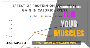 Fuel Your Gains: The Truth About Protein Drinks and Muscle Growth
