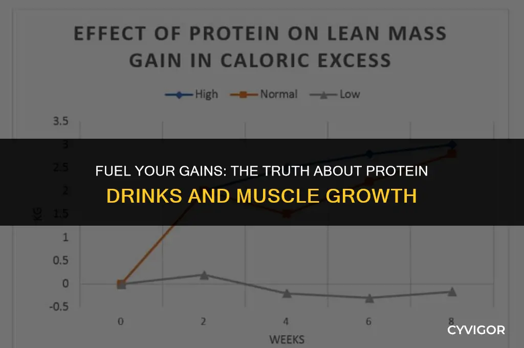 is protein drinking good for your muscles