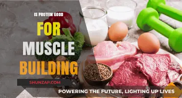 Unlocking Muscle Growth: The Power of Protein Explained