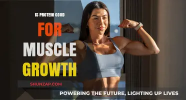 Protein's Role in Muscle Growth: Fact or Fiction?
