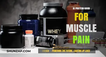 Protein's Role in Muscle Pain: Benefits, Myths, and Recovery Tips