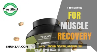 Fuel Your Recovery: The Power of Protein for Muscle Repair