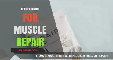 Protein Power: Essential for Muscle Repair and Growth