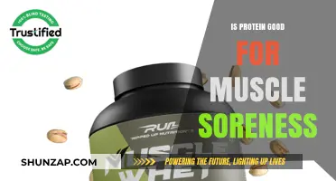 Protein's Role in Alleviating Muscle Soreness: A Comprehensive Guide