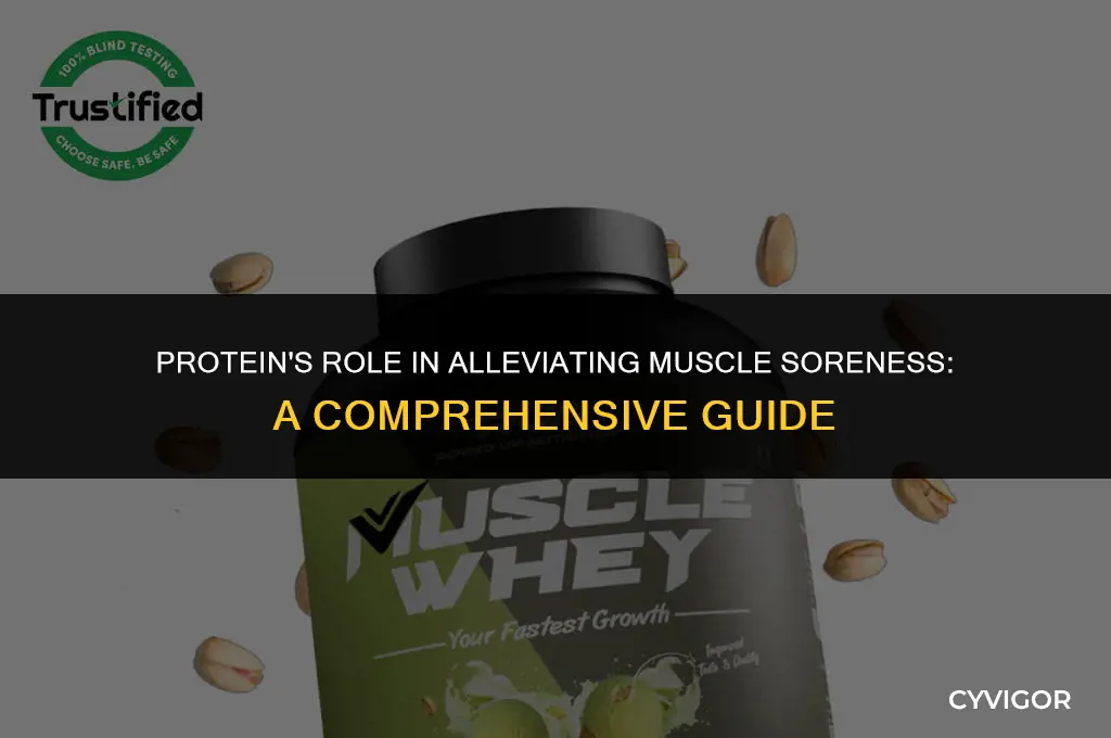 is protein good for muscle soreness
