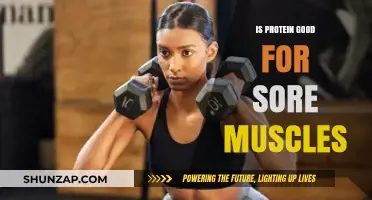 Protein's Role in Muscle Recovery: Easing Soreness After Intense Workouts