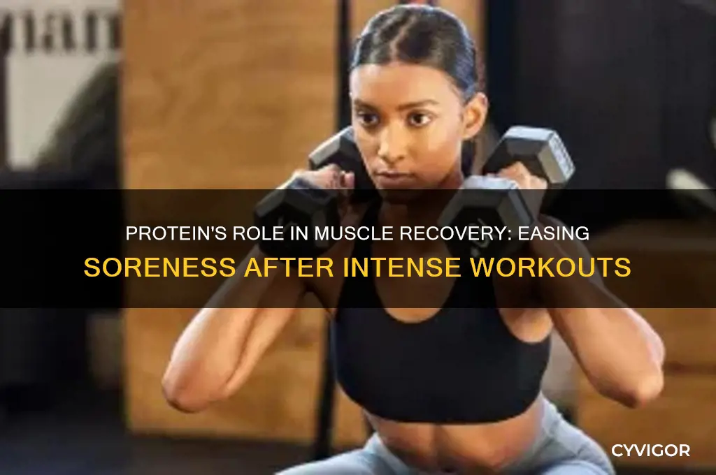 is protein good for sore muscles