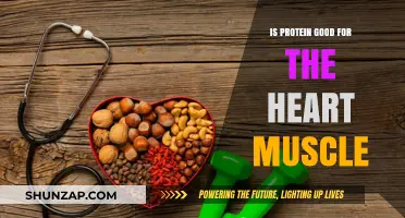 Protein Power: Fueling Your Heart Muscle for Optimal Health