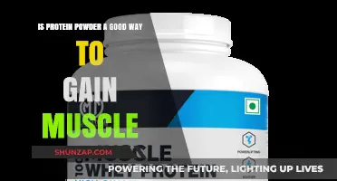 Protein Powder for Muscle Gain: Effective Supplement or Overhyped?