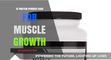 Unlocking Muscle Growth: The Truth About Protein Powder