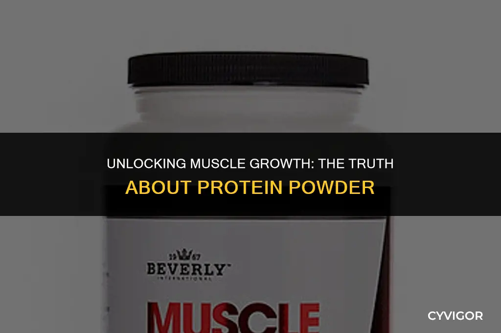 is protein powder good for muscle growth