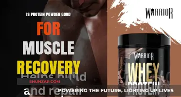 Fuel Your Recovery: The Truth About Protein Powder and Muscle Repair