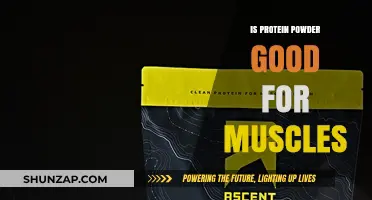 Fuel Your Gains: The Truth About Protein Powder and Muscle Growth