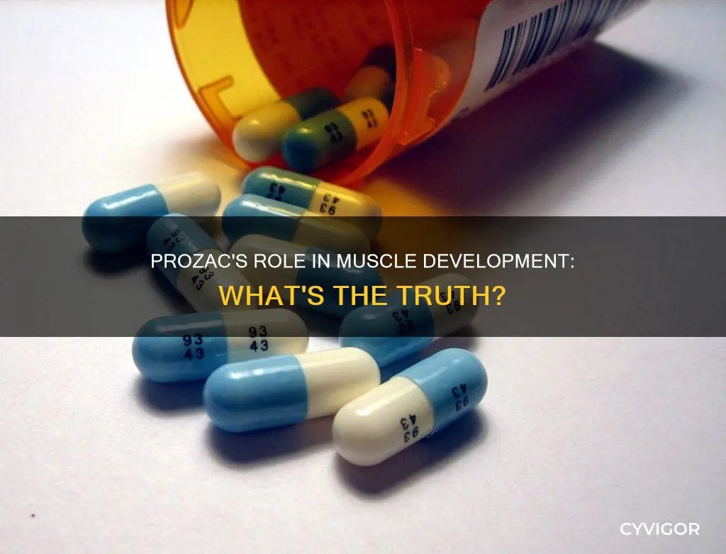 is prozac for muscle development