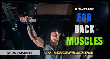 Pull-Ups for Back Strength: Benefits, Techniques, and Muscle Engagement