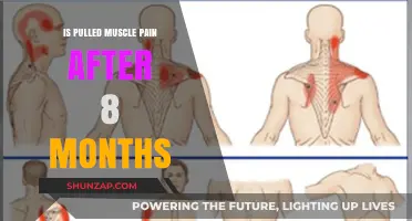 Persistent Pulled Muscle Pain: Understanding 8-Month Recovery Challenges