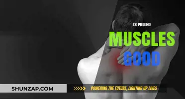 Pulled Muscles: Are They Beneficial or Harmful for Your Body?