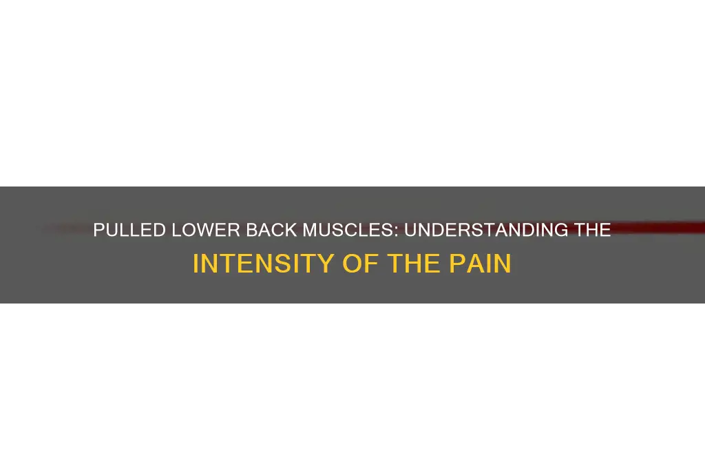 is pulled muscles in lower backvery painful