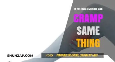 Muscle Pull vs. Cramp: Understanding the Key Differences