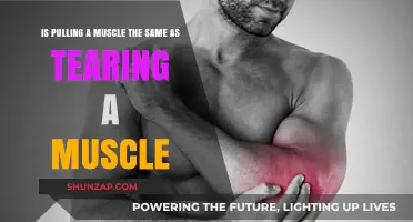 Muscle Pull vs. Tear: Understanding the Difference and Severity