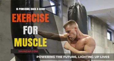 Punching Bags: An Effective Muscle-Building Exercise?