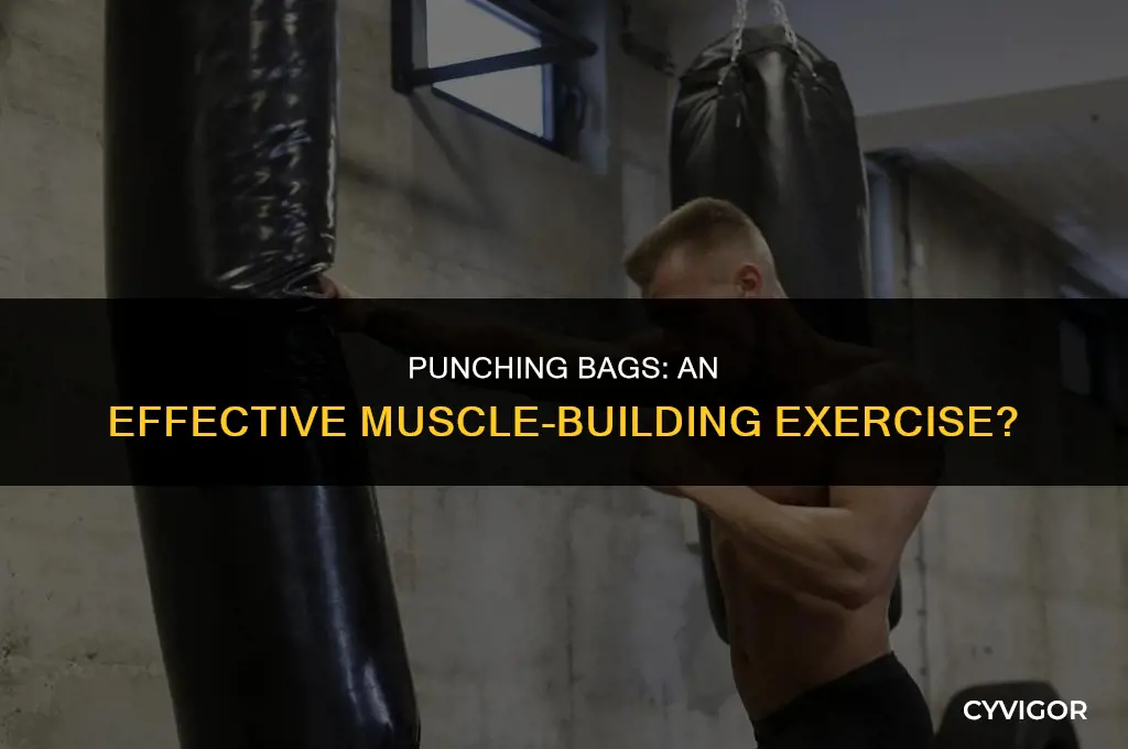 is punching bags a good exercise for muscle