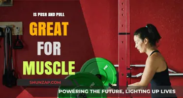 Push and Pull Training: Effective for Muscle Growth and Strength?