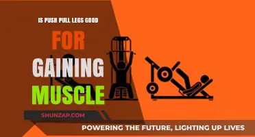 Push Pull Legs: Effective Muscle-Building Strategy or Overhyped Routine?