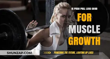 Push Pull Legs: Effective Strategy for Optimal Muscle Growth?