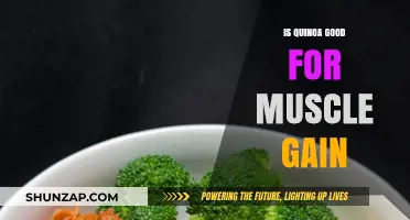 Quinoa for Muscle Gain: A Nutrient-Packed Protein Source?