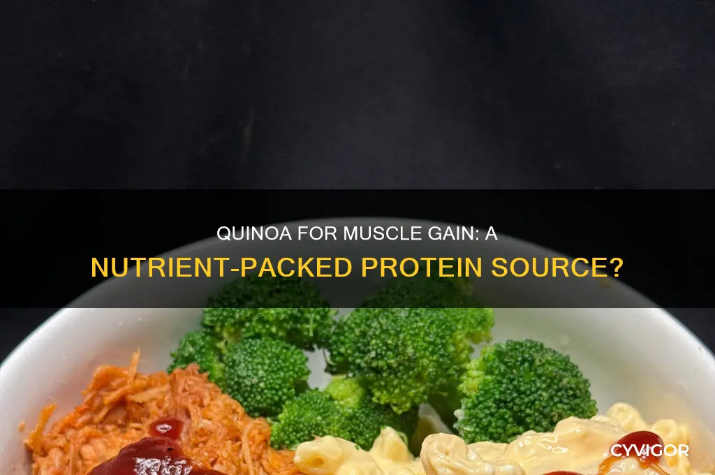is quinoa good for muscle gain