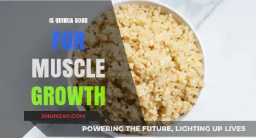 Quinoa for Muscle Growth: A Complete Guide