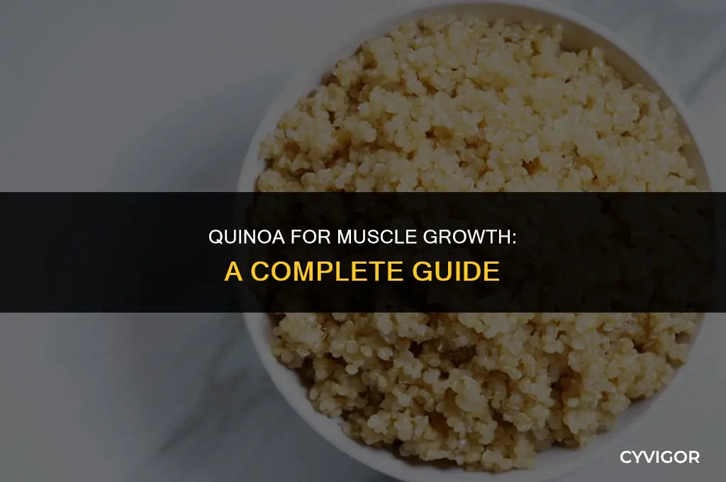 is quinoa good for muscle growth