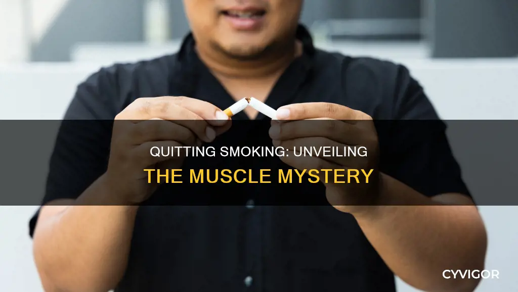 is quitting smoking cause muscle
