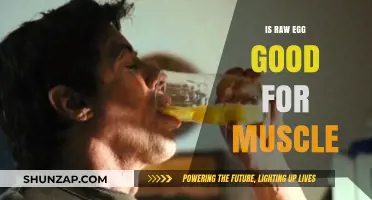 Cracking the Myth: Raw Eggs and Muscle Building Explained