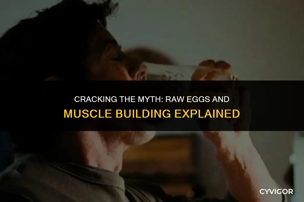 is raw egg good for muscle