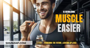 Rebuilding Muscle: Is It Easier the Second Time?