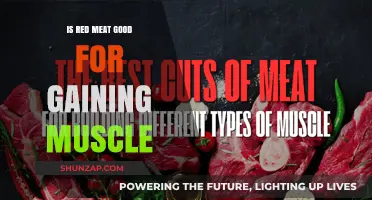 Red Meat and Muscle Gain: Benefits, Myths, and Optimal Intake