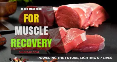 Red Meat's Role in Muscle Recovery: A Comprehensive Guide