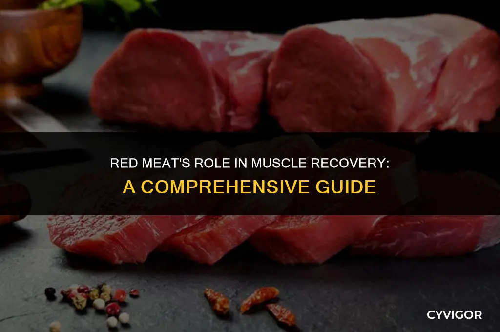 is red meat good for muscle recovery
