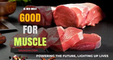 Red Meat and Muscle Growth: Separating Fact from Fiction