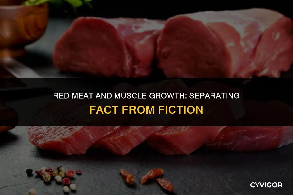 is red meat good for muscle